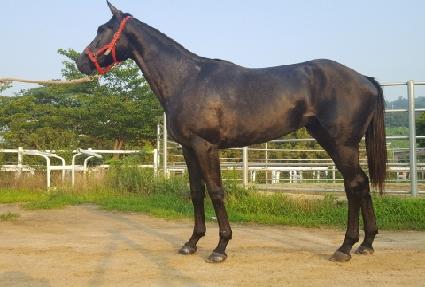 ����è�� ����