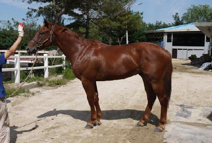 ���ǰ��� ����