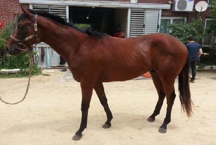 ������ ����