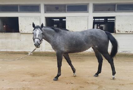 Ƽ���Ŀ� ����