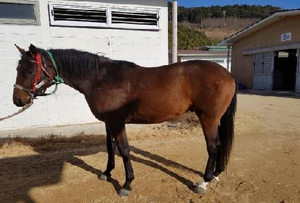 û������ ����