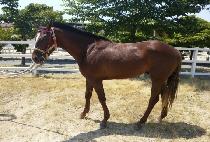 �븥�� (NOREUNJA) ����