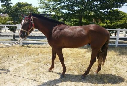 �븥�� ����