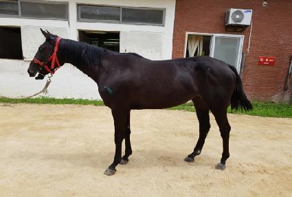 ��Ű��Ű ����