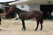 ¯�� (JJANGDAE) ����