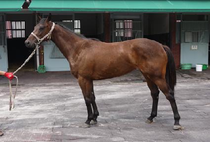 ���丮��Ÿ ����