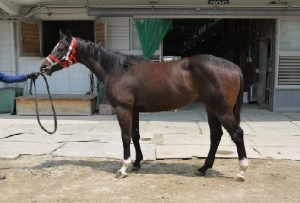 �������� ����