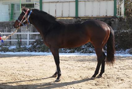 �뵿����� ����