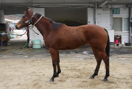 �Ӷ��̾� ����