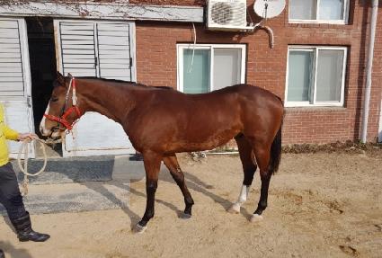 ����Ʈ���̽� ����