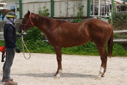 �Ƴʷ��� ����