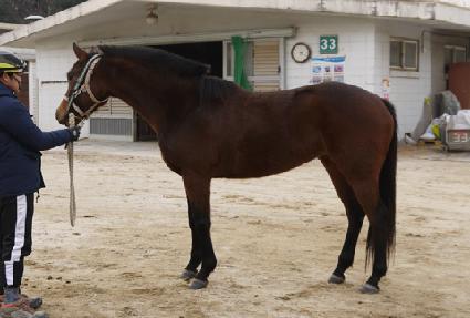 �Ⱦ緹���ĵ� ����