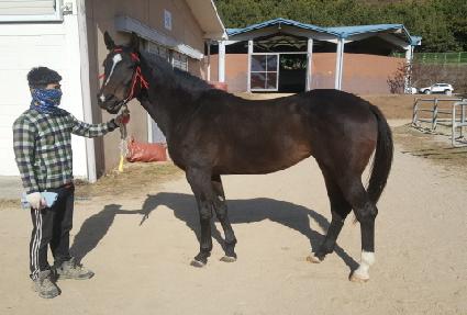 ���ǰ���Ʈ ����