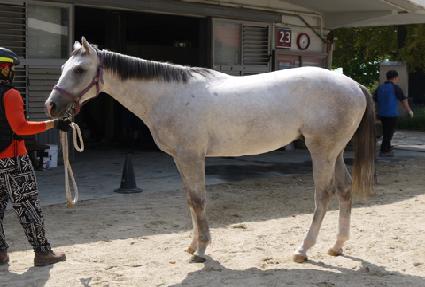 ȭ��Ʈ���� ����