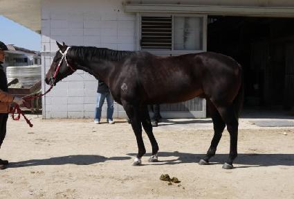 ������ŷ ����