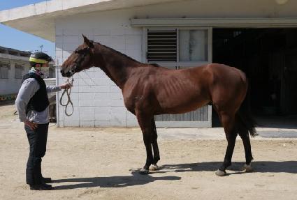 ��Ÿ�õ�� ����