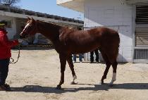 ���Ŀ� (SUN POWER) ����