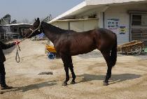 õ���ְ� (CHEONJI CHOEGO) ����