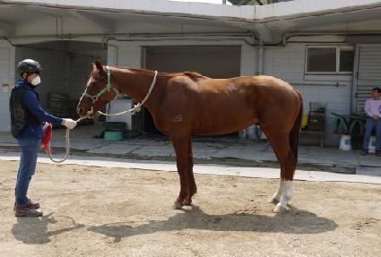 �����ͽ����� ����