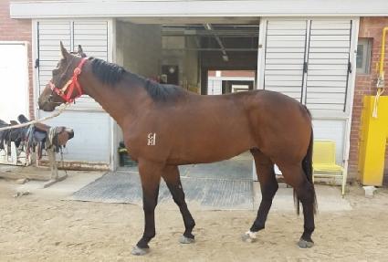 �����̱� ����