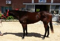 �¾������� (TAEYANGUI JILJU) ����