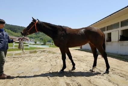 �ö��׷����� ����