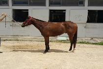 �ٶ������� (BARAMUI HEUNJEOK) ����