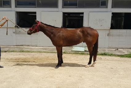 �ٶ������� ����