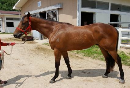 ����ġ ����