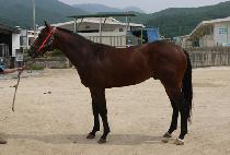 �����׷���Ʈ (THUNDER GREAT) ����