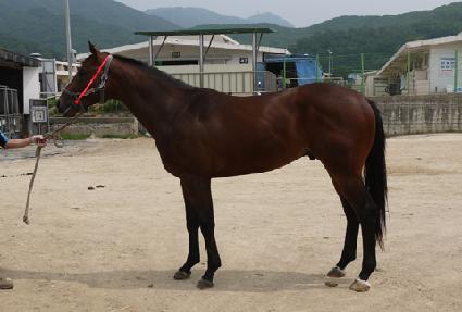 �����׷���Ʈ ����