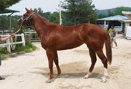 �Ѷ��� ����