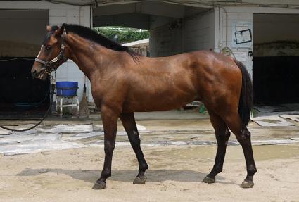 â����ȣ ����