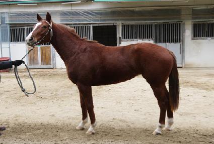 ��Ʈ�ն���Ʈ ����