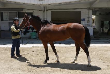 �������� ����