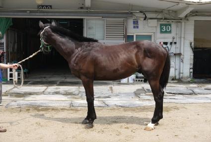 â���̱� ����