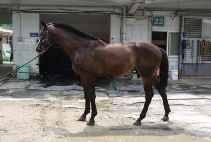 â������ ����