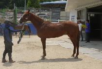 Ʈ�������� (TRIPLE HAPPY) ����