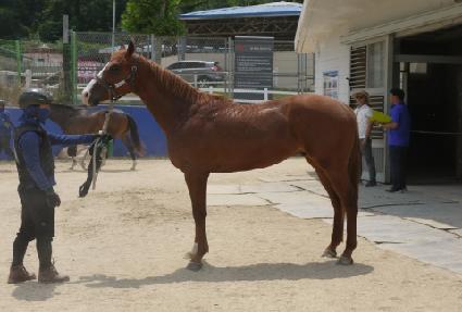 Ʈ�������� ����