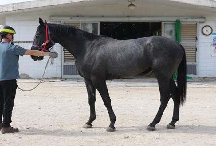 ���η��̼� ����