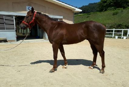 ��õ����� ����