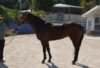 �������� ����