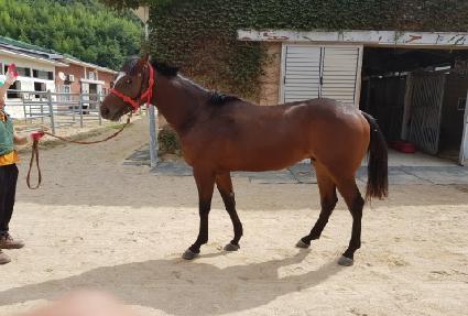 ��ǲ ����