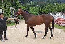 �̽�Ʈ���� (EAST WIND) ����