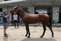 â������� (CHANGSEONG HERO) ����