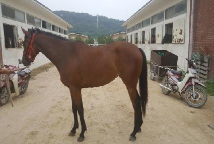 �ǽ����� ����