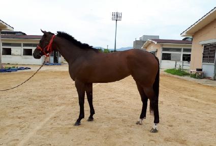 ����Ʈ���� ����