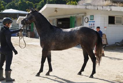 �������ϴ� ����