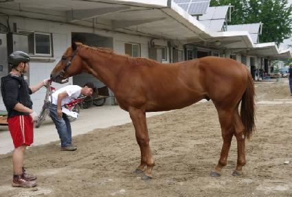 ����� ����