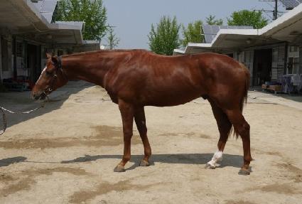 ���Ÿ�� ����